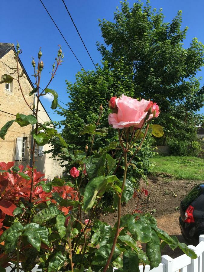 La Pomme De Nuit Bed and Breakfast Μπαγιέ Εξωτερικό φωτογραφία